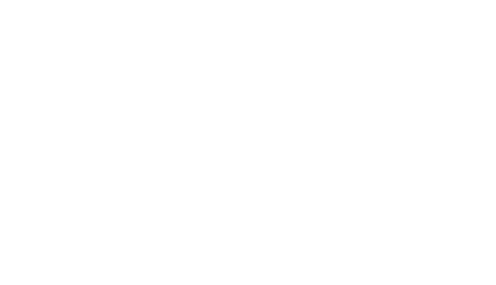 Th Mad Marquess